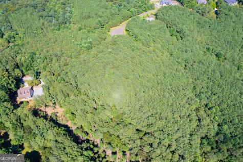 9 Foxpaw Leaf Court East Ellijay GA 30536
