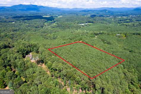 9 Foxpaw Leaf Court East Ellijay GA 30536