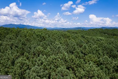 9 Foxpaw Leaf Court East Ellijay GA 30536