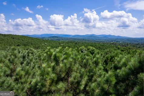 9 Foxpaw Leaf Court East Ellijay GA 30536