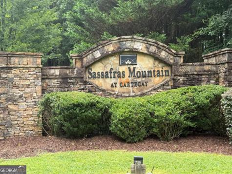 9 Foxpaw Leaf Court East Ellijay GA 30536