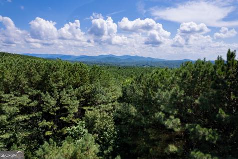 9 Foxpaw Leaf Court East Ellijay GA 30536