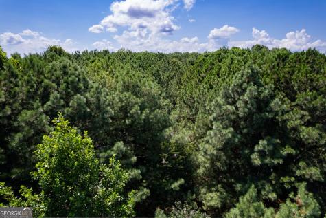 9 Foxpaw Leaf Court East Ellijay GA 30536