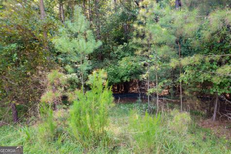 9 Foxpaw Leaf Court East Ellijay GA 30536