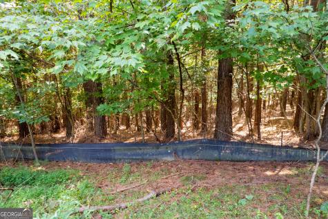 9 Foxpaw Leaf Court East Ellijay GA 30536