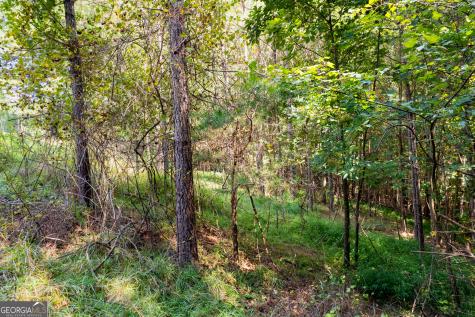 9 Foxpaw Leaf Court East Ellijay GA 30536