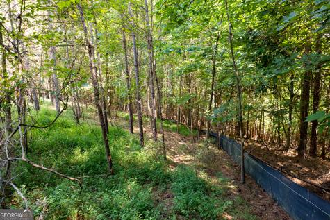 9 Foxpaw Leaf Court East Ellijay GA 30536