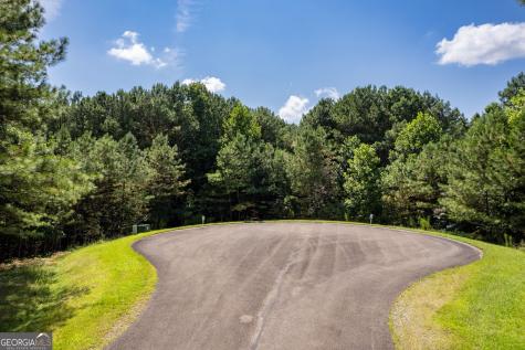 9 Foxpaw Leaf Court East Ellijay GA 30536