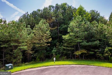 9 Foxpaw Leaf Court East Ellijay GA 30536