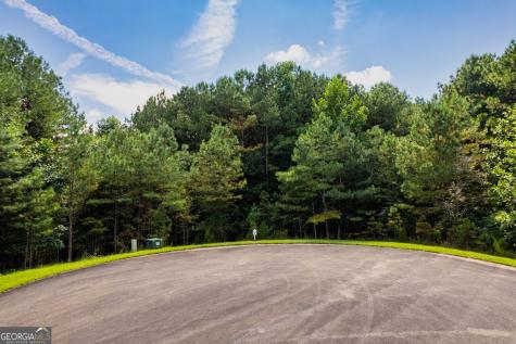 9 Foxpaw Leaf Court East Ellijay GA 30536