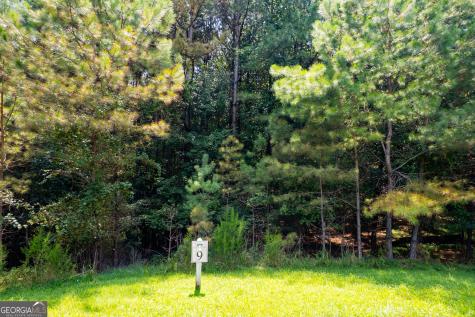 9 Foxpaw Leaf Court East Ellijay GA 30536