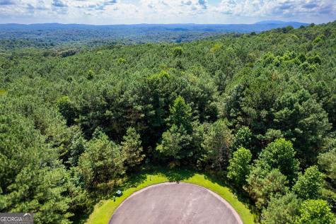 9 Foxpaw Leaf Court East Ellijay GA 30536