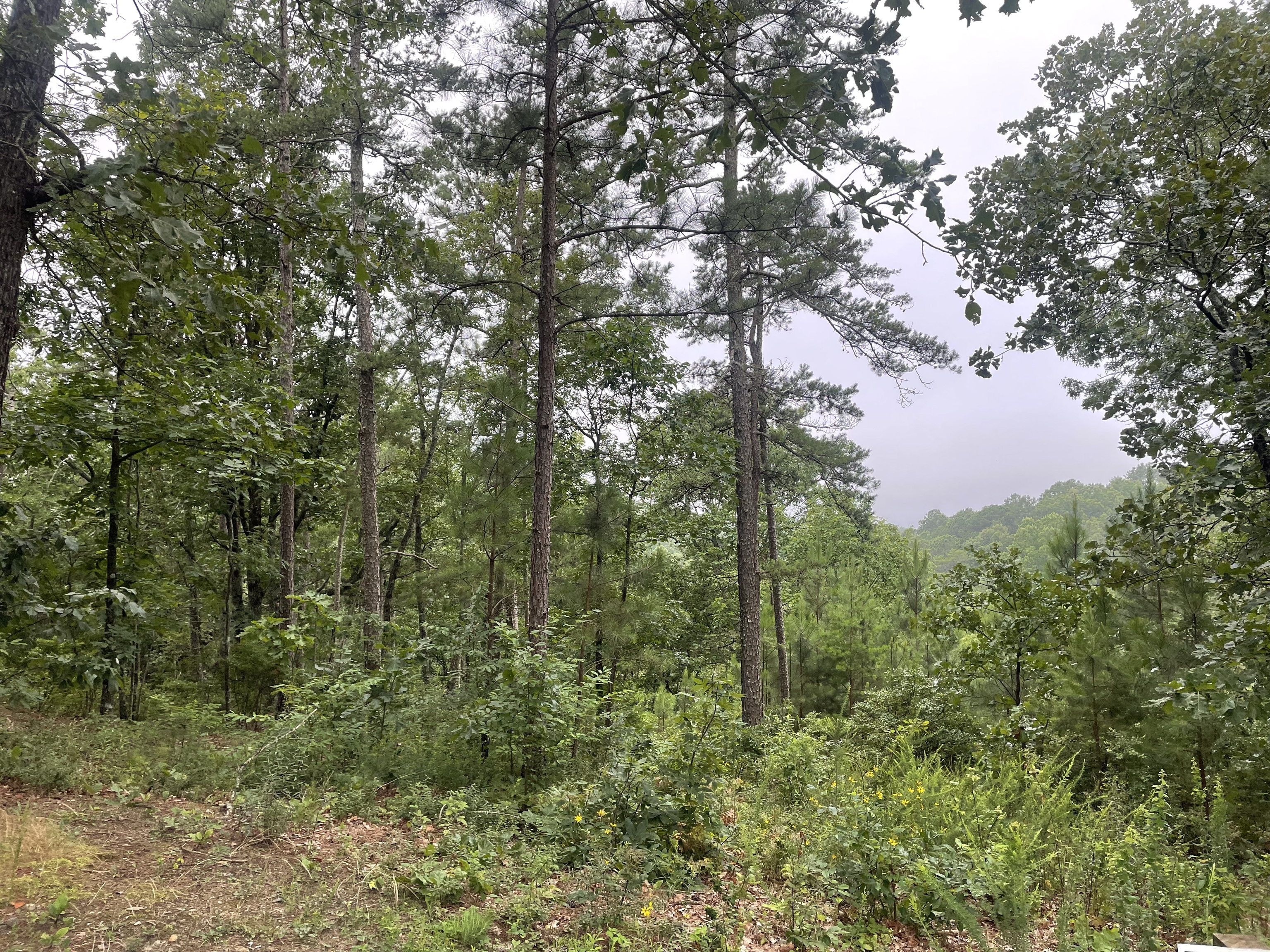 425 Marble Court Ranger GA 30734