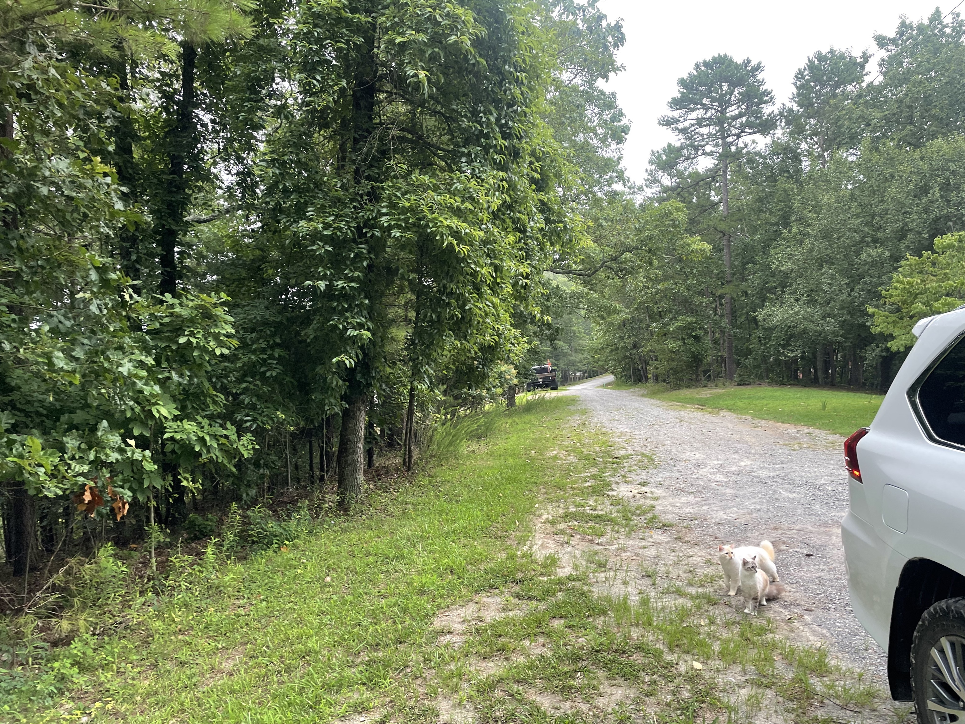 425 Marble Court Ranger GA 30734