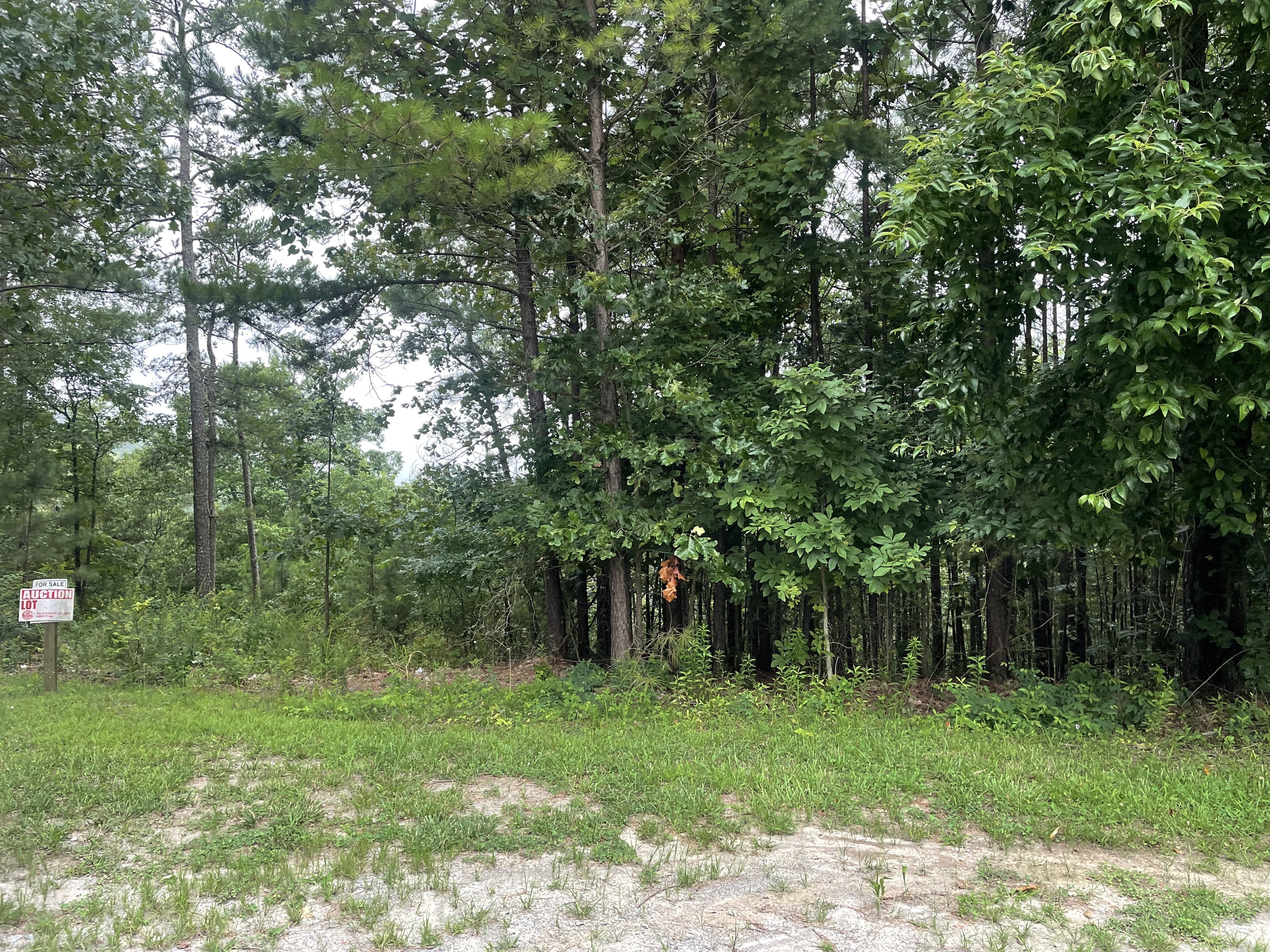425 Marble Court Ranger GA 30734