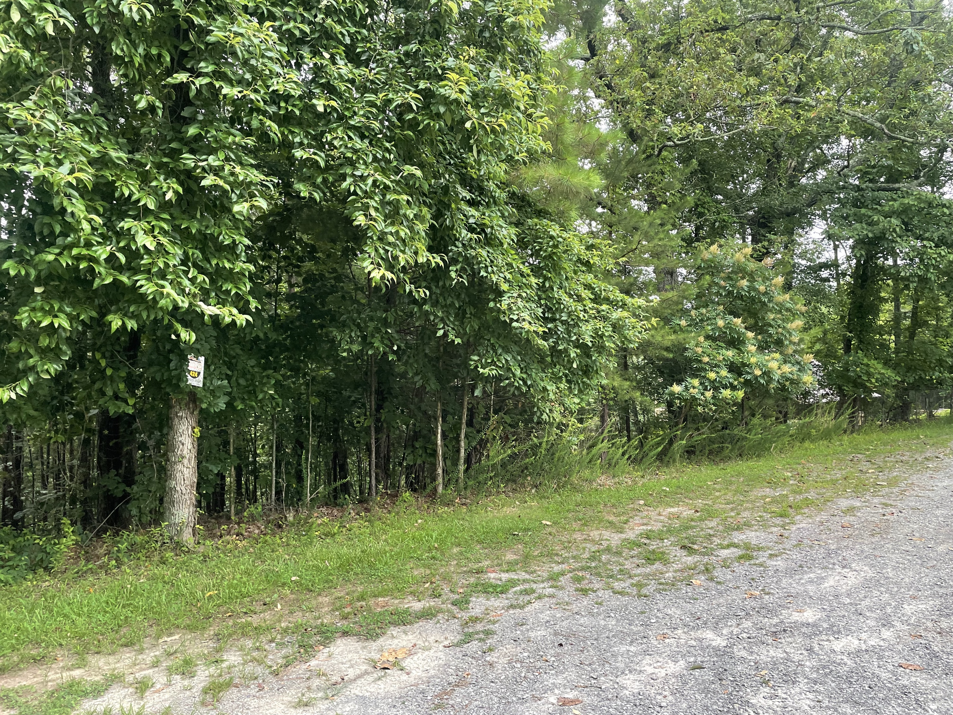 425 Marble Court Ranger GA 30734