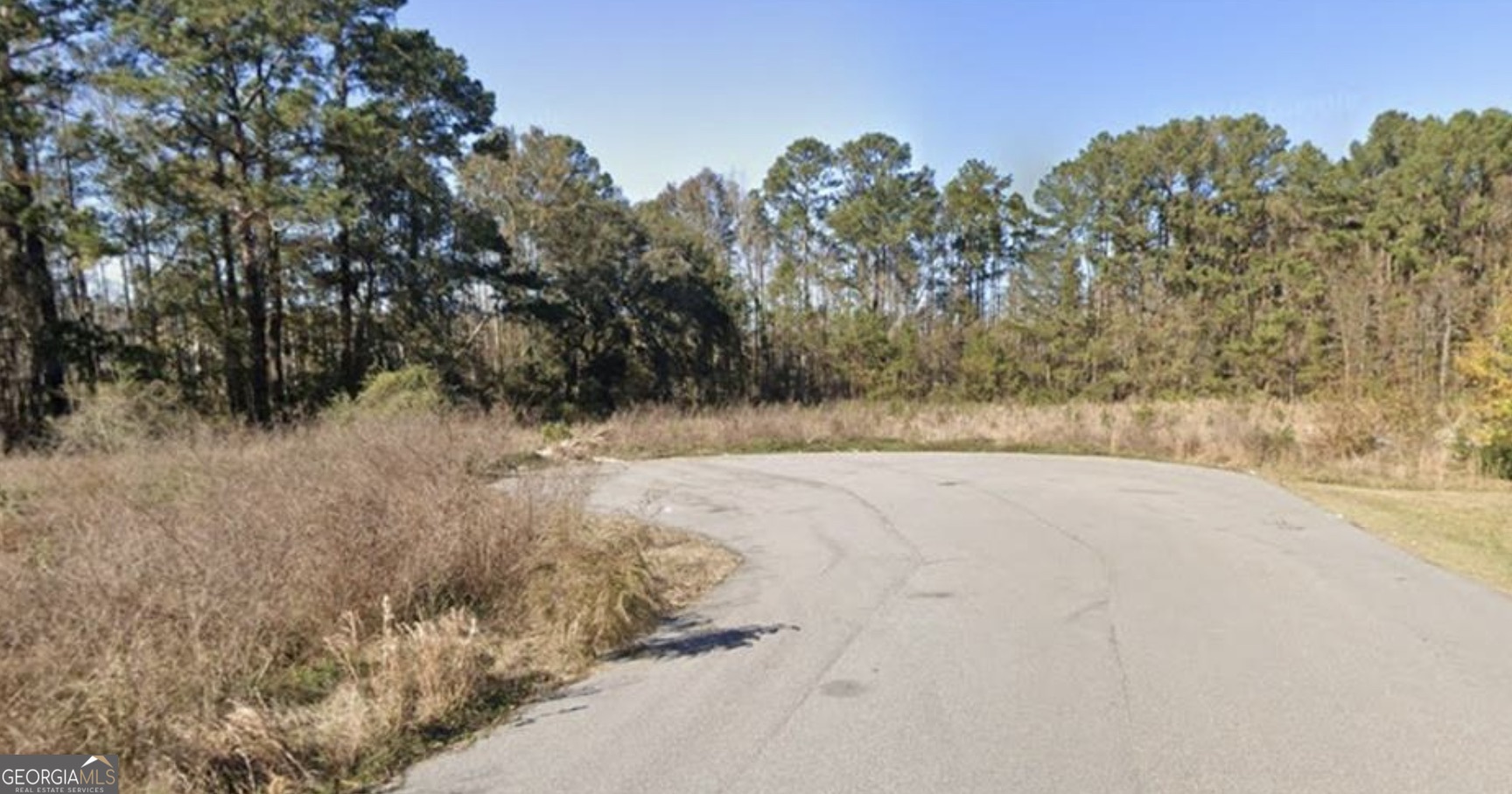50 Wise Court Richmond Hill GA 31324