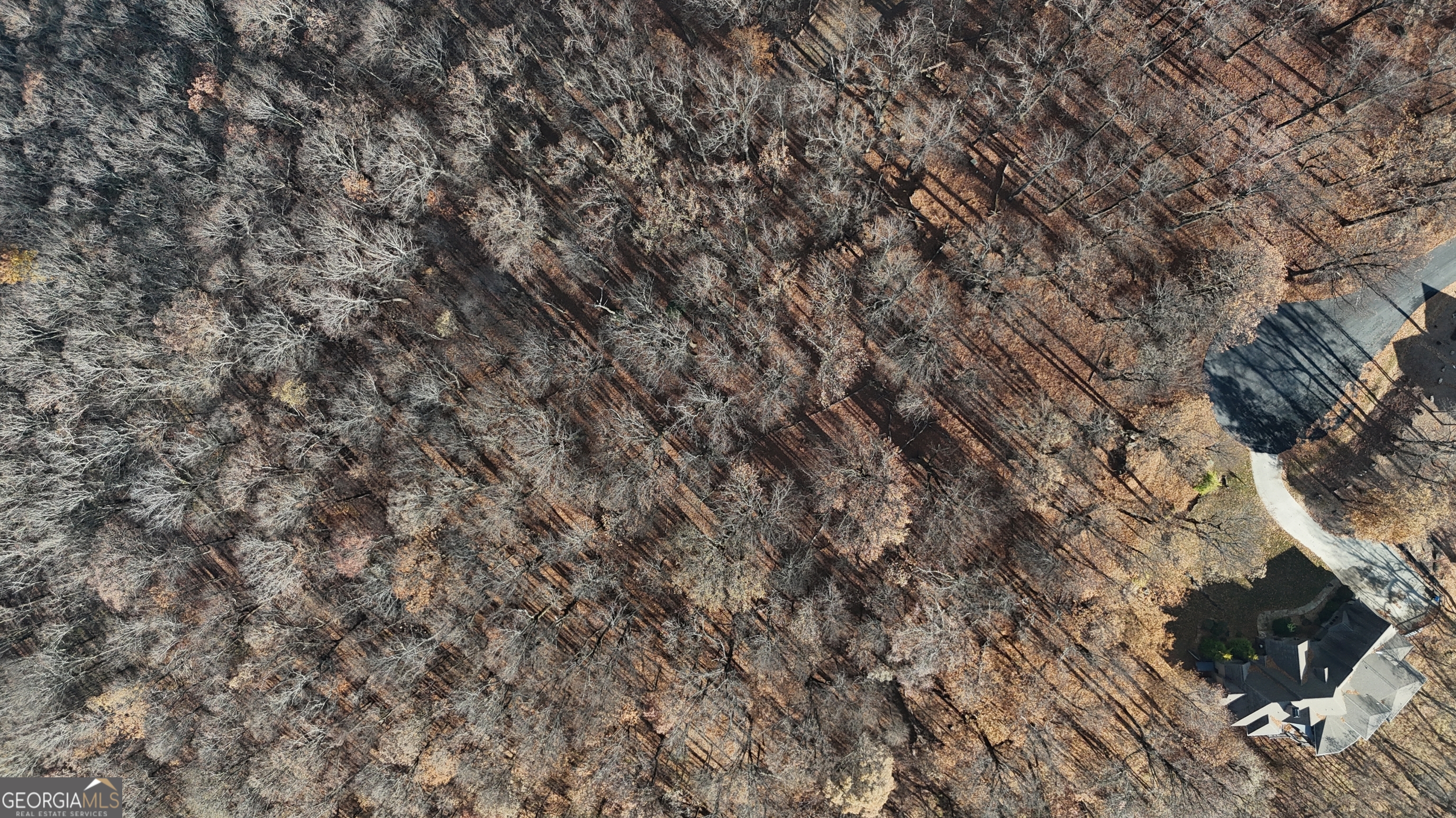 Lot 11 Mountainside Drive Cleveland GA 30528