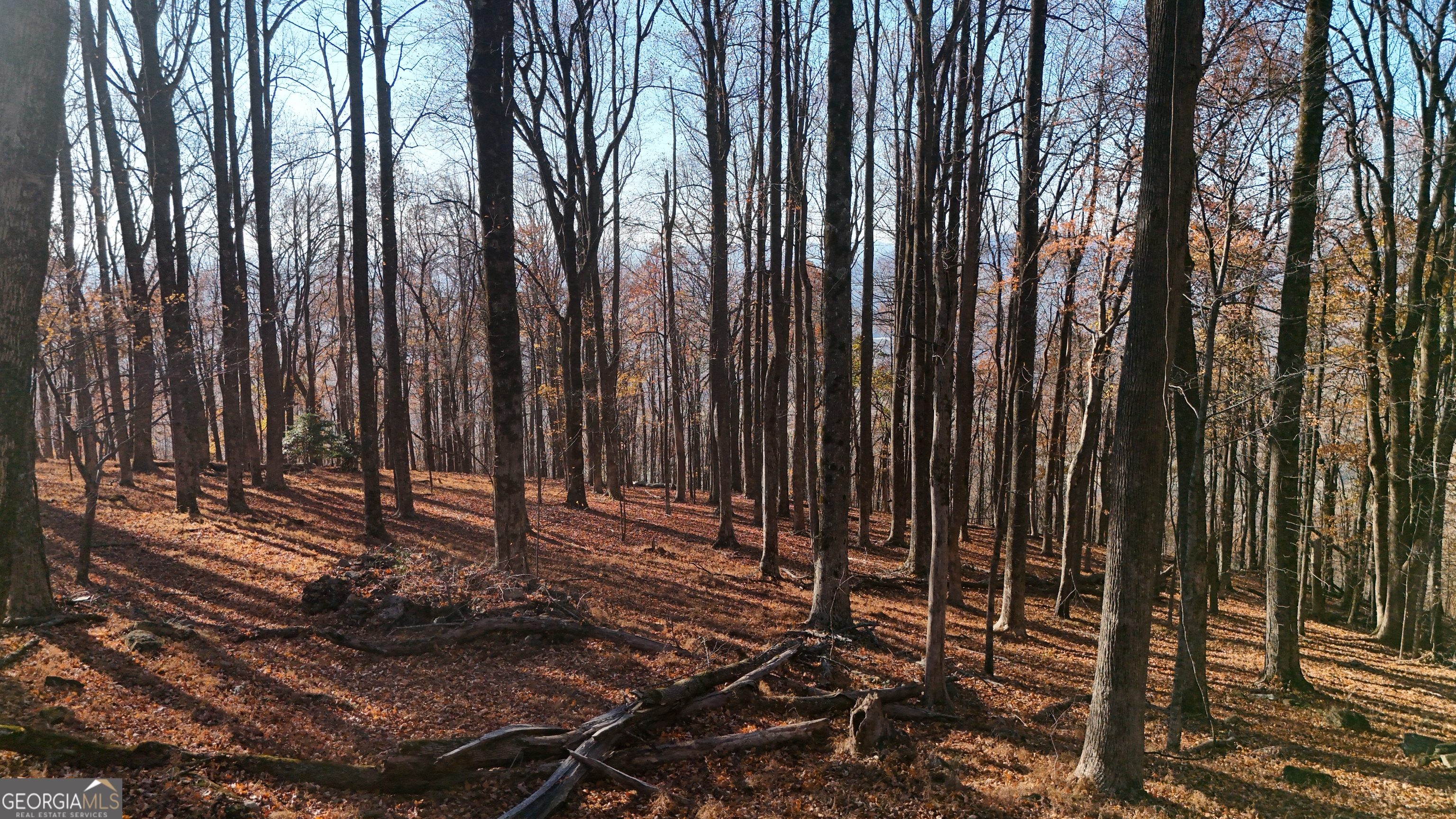 Lot 11 Mountainside Drive Cleveland GA 30528