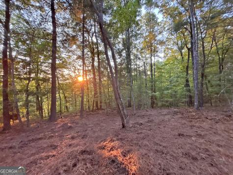 Lot 18 Mt. Springer Road Ellijay GA 30540