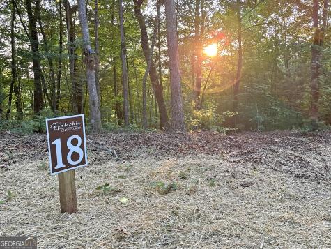 Lot 18 Mt. Springer Road Ellijay GA 30540