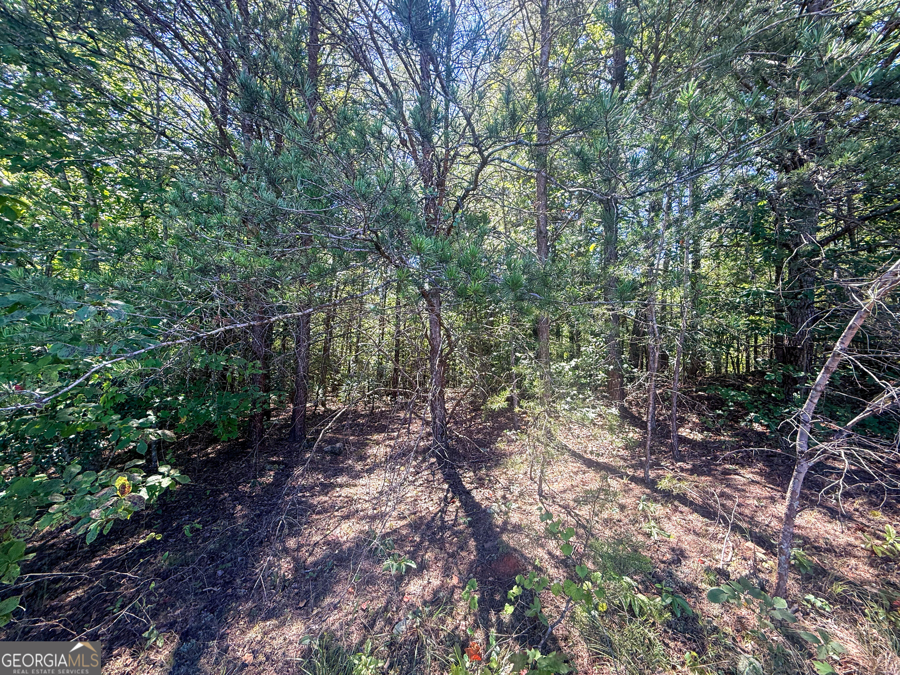Lot 21 Sunshine Ridge Drive Toccoa GA 30577