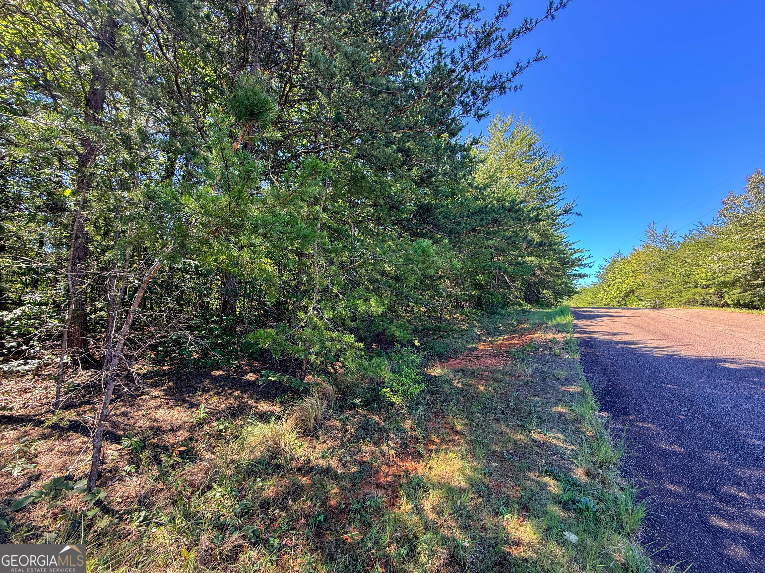 Lot 21 Sunshine Ridge Drive Toccoa GA 30577
