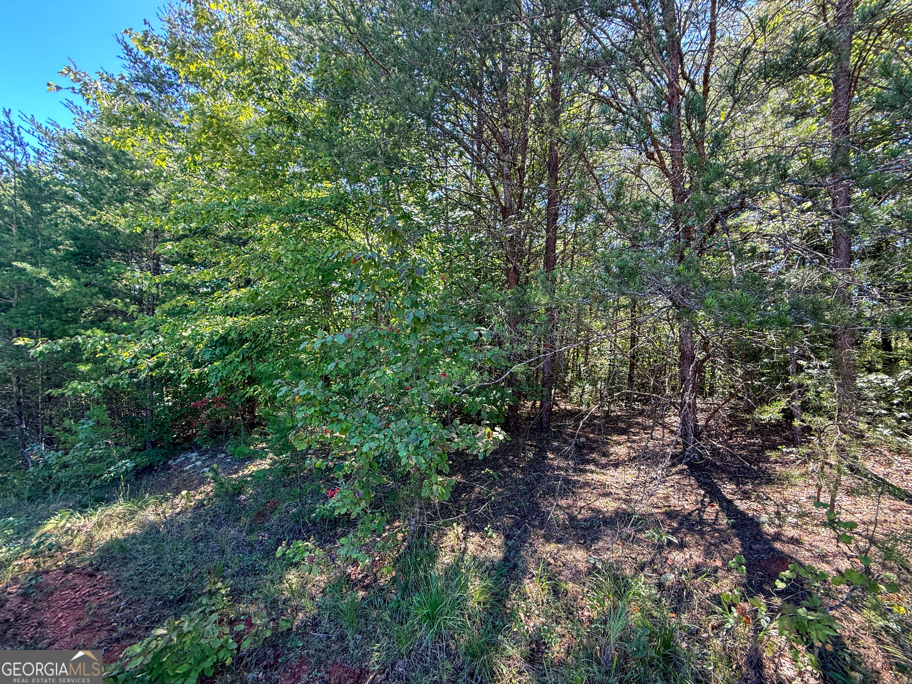Lot 21 Sunshine Ridge Drive Toccoa GA 30577