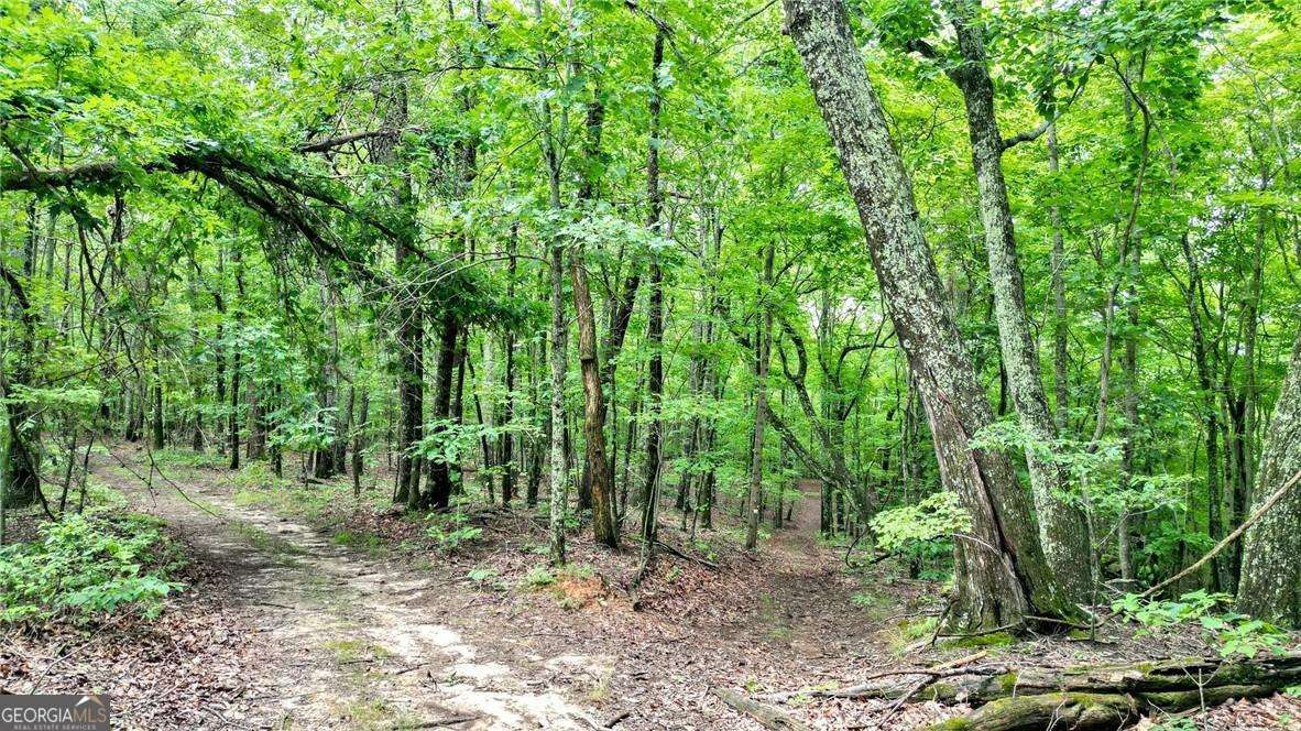 Trt A Cascade Drive Jasper GA 30143