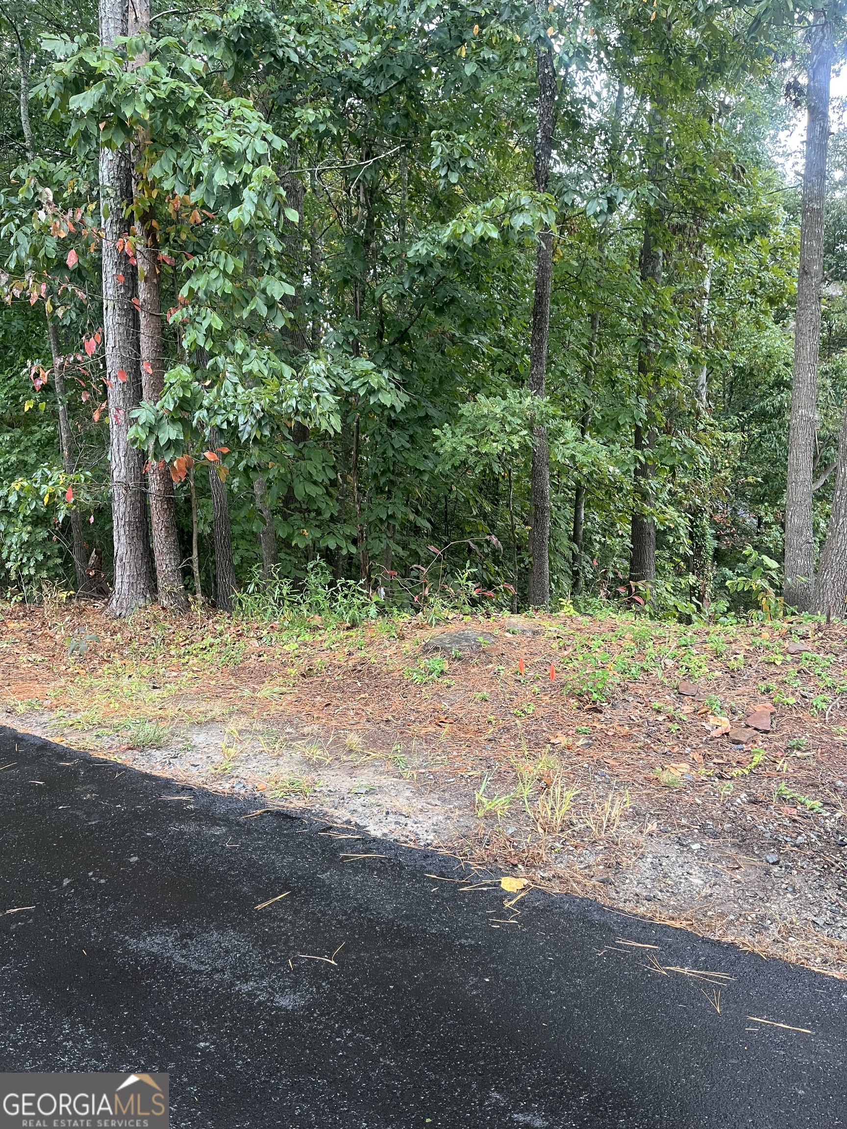 0 Old Still Gainesville GA 30506