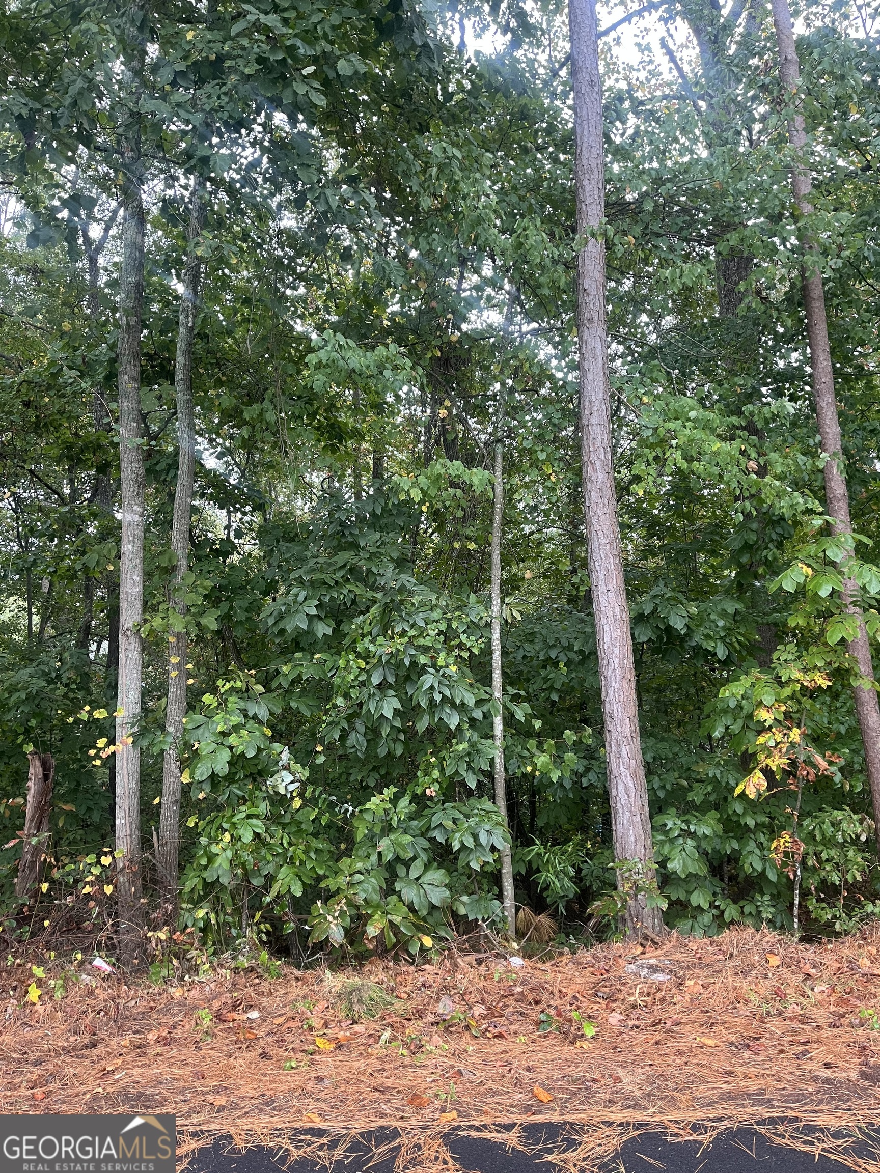 0 Old Still Gainesville GA 30506
