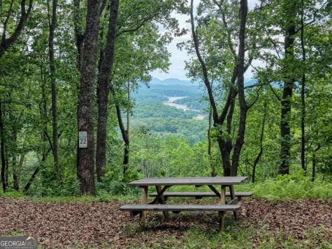 22 Buckhead Hills Hiawassee GA 30546