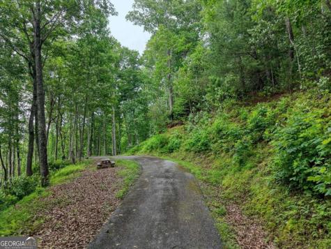 22 Buckhead Hills Hiawassee GA 30546