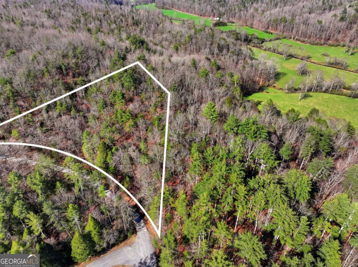 Lot 24 Pickett Mill Lane Ellijay GA 30540