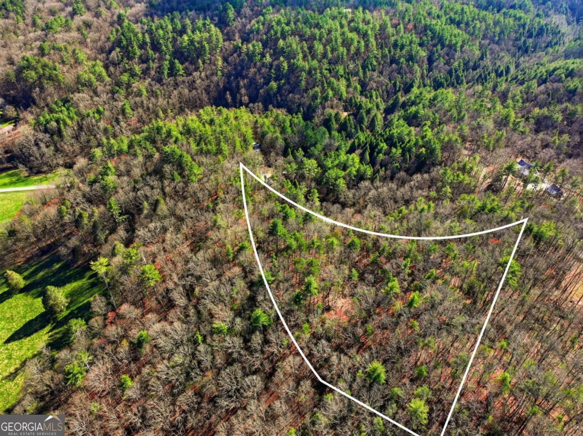 Lot 24 Pickett Mill Lane Ellijay GA 30540