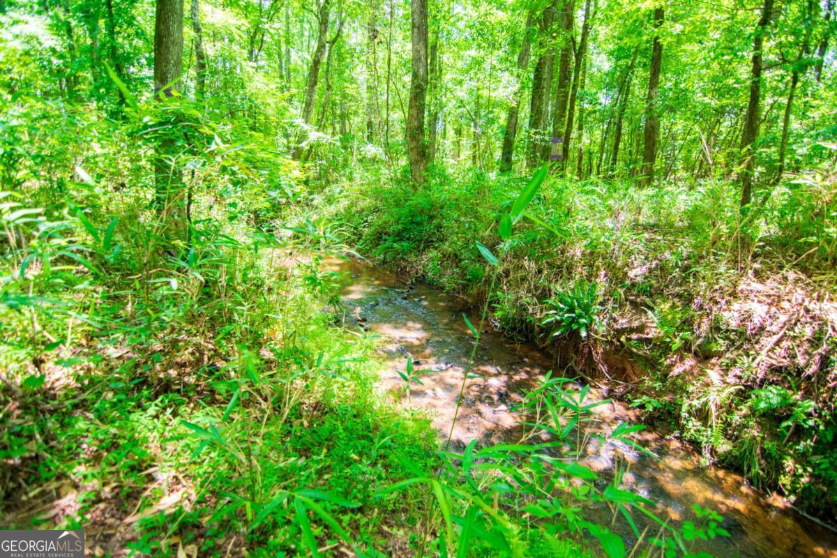 0 White Road Pine Mountain GA 31822