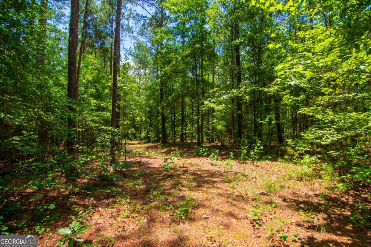 0 White Road Pine Mountain GA 31822