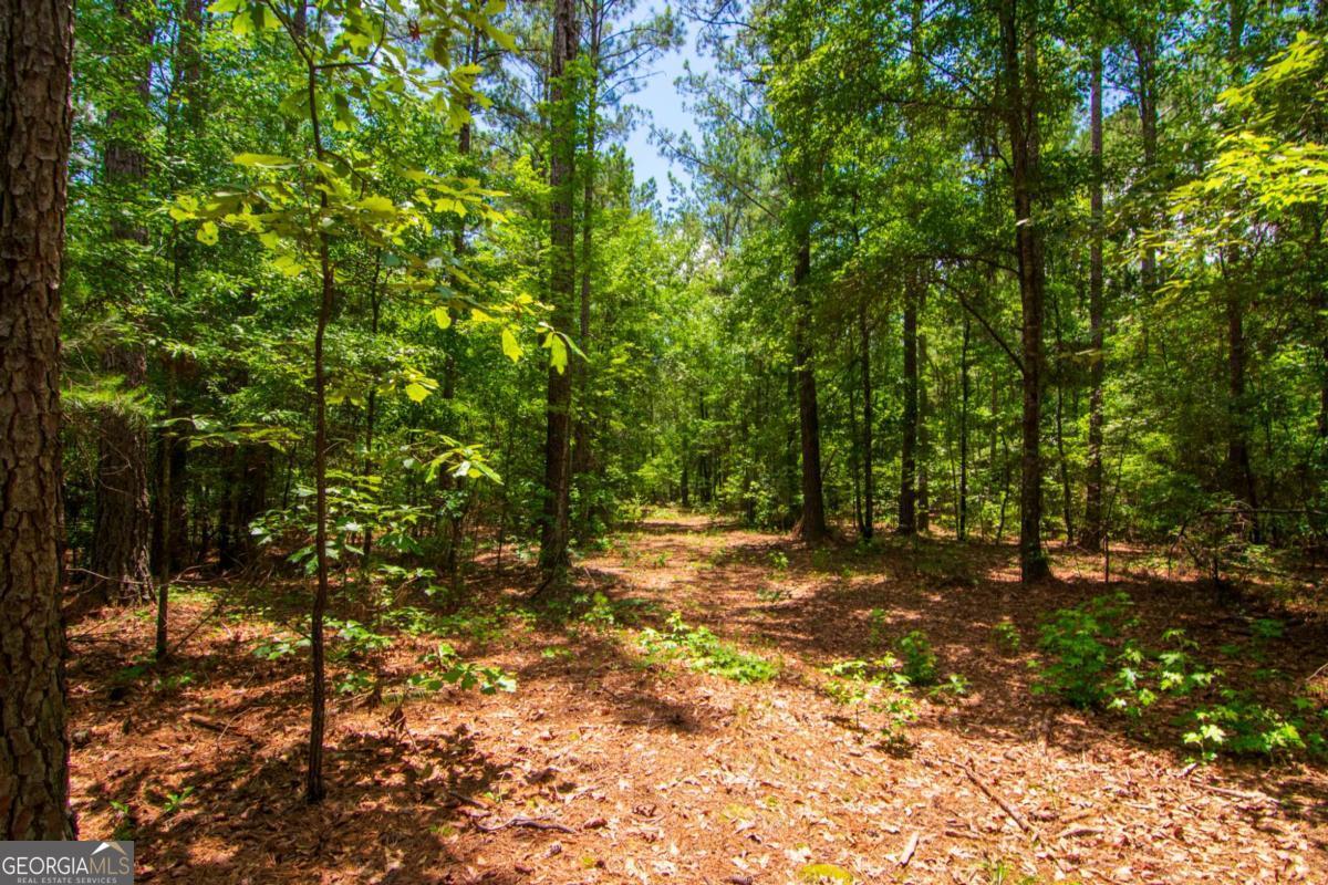 0 White Road Pine Mountain GA 31822