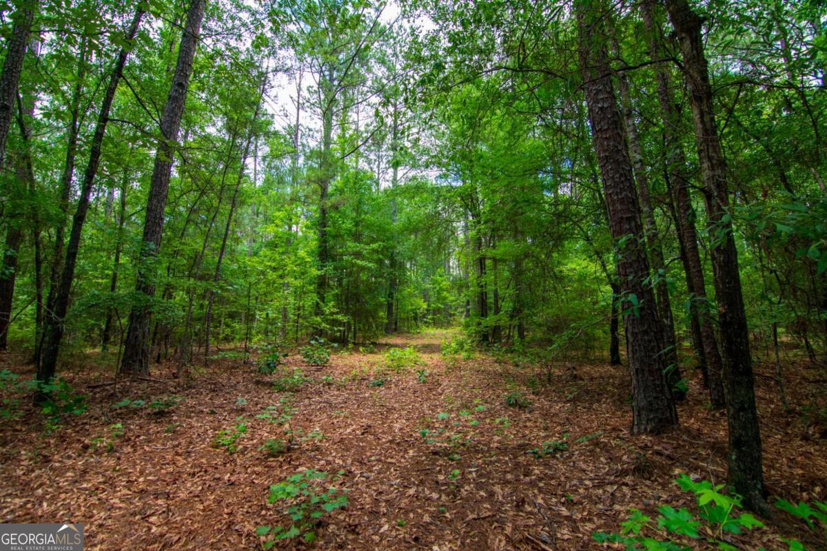 0 White Road Pine Mountain GA 31822