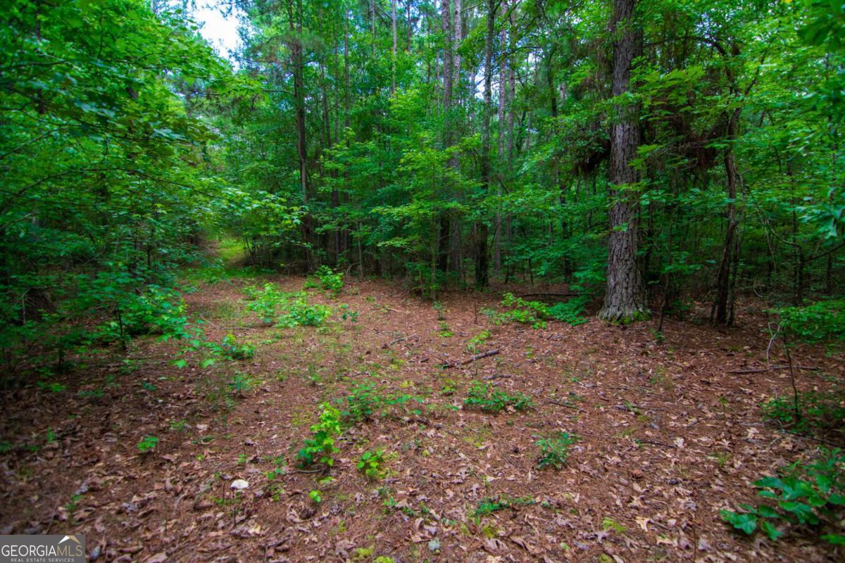 0 White Road Pine Mountain GA 31822