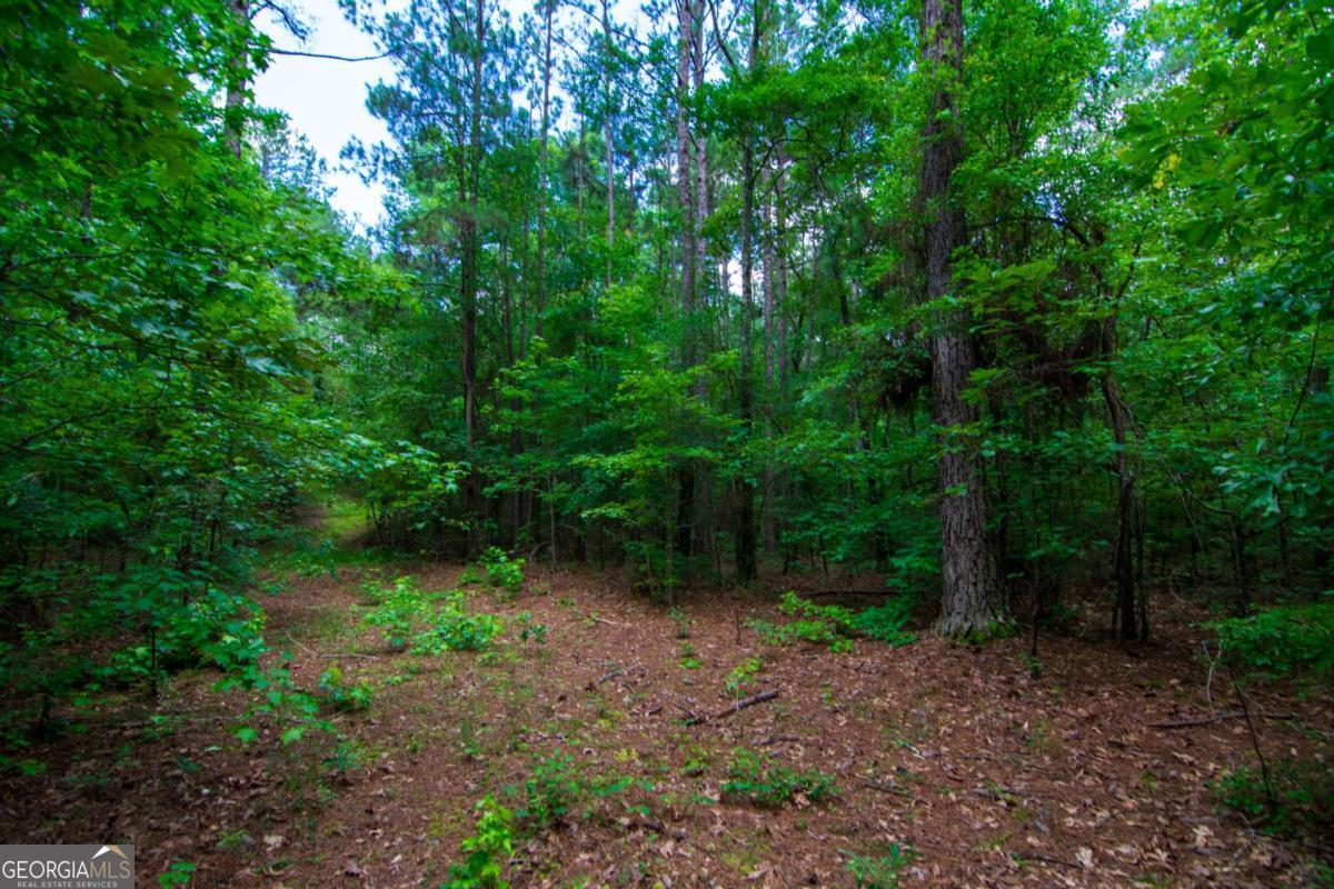 0 White Road Pine Mountain GA 31822
