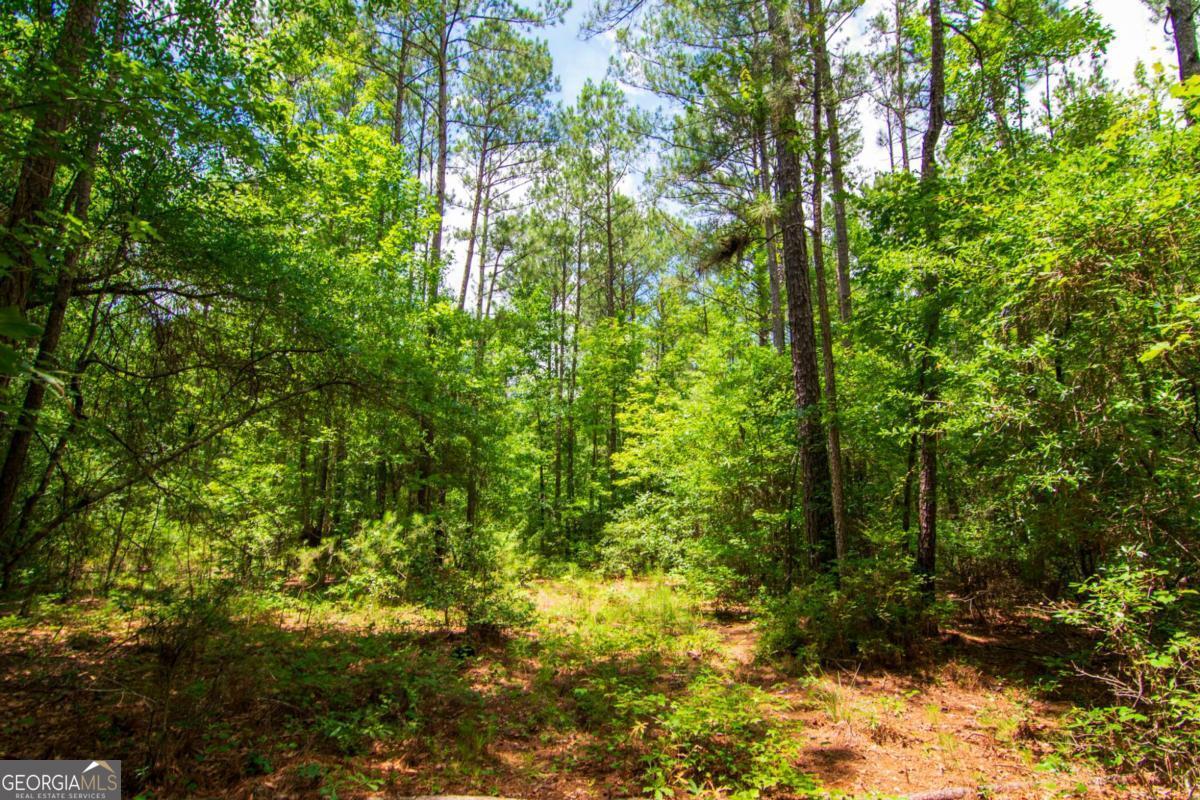0 White Road Pine Mountain GA 31822