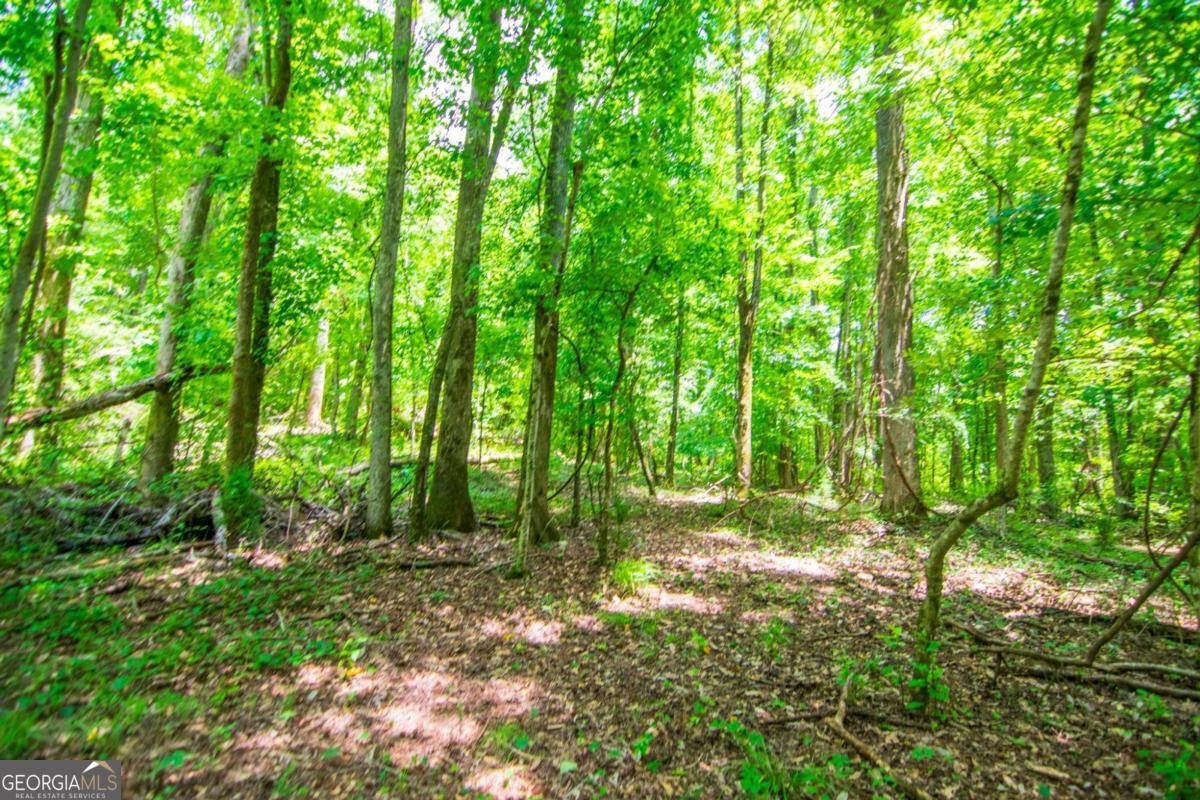 0 White Road Pine Mountain GA 31822