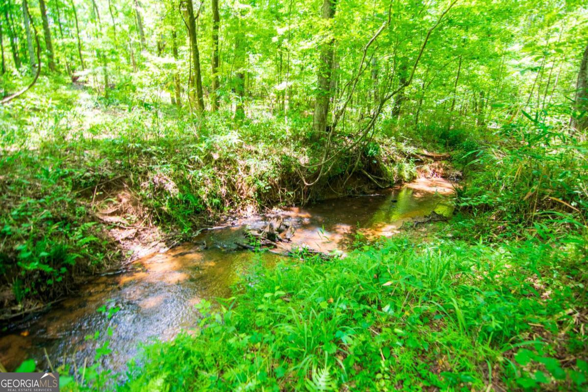 0 White Road Pine Mountain GA 31822