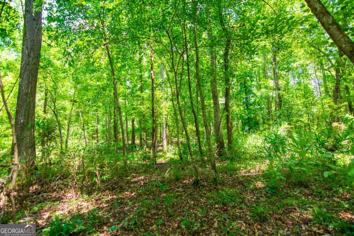 0 White Road Pine Mountain GA 31822