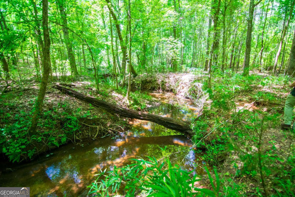 0 White Road Pine Mountain GA 31822