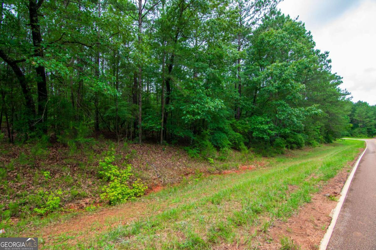 0 White Road Pine Mountain GA 31822