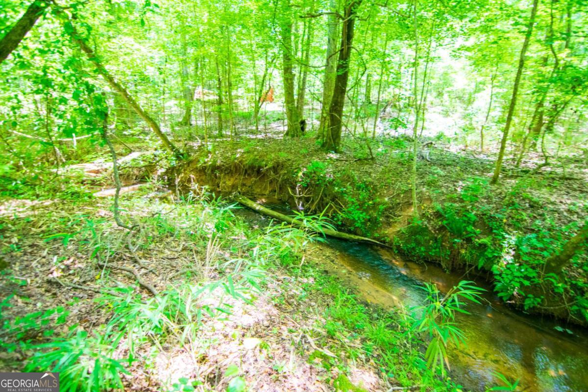 0 White Road Pine Mountain GA 31822