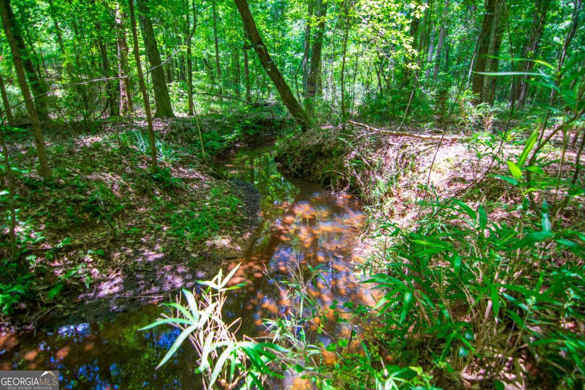 0 White Road Pine Mountain GA 31822