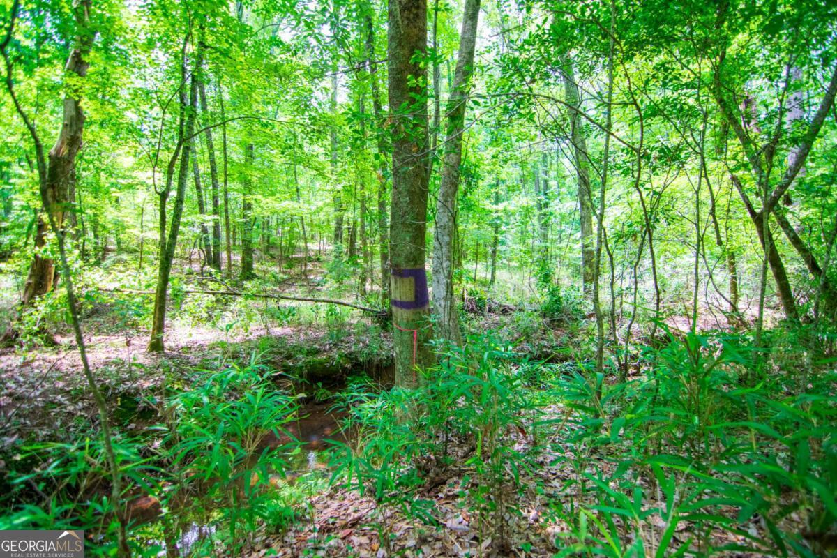 0 White Road Pine Mountain GA 31822